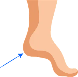 heel.webp